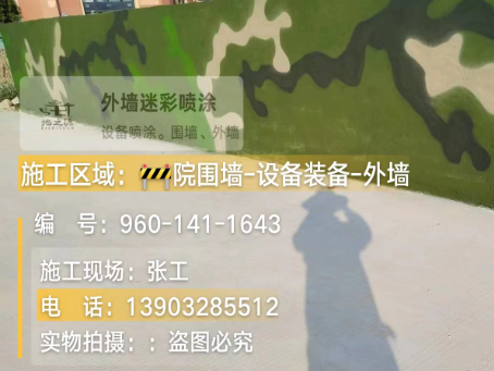 浙江 迷彩漆喷涂价格(按平方米计费)