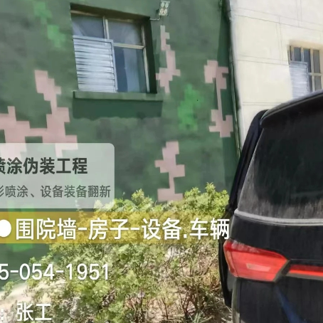 浙江数码迷彩漆施工